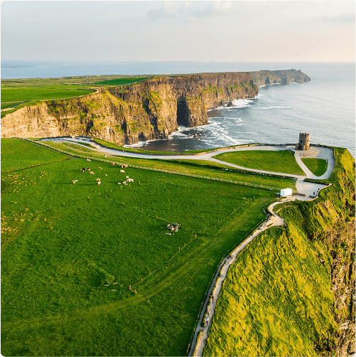Aerial view of the Cliffs of Moher in Ireland, with dramatic sea cliffs, lush green fields, grazing cows, a winding path perfect for e-Whizz Electric bikes, and OBriens Tower near the cliff edge overlooking the Atlantic Ocean.