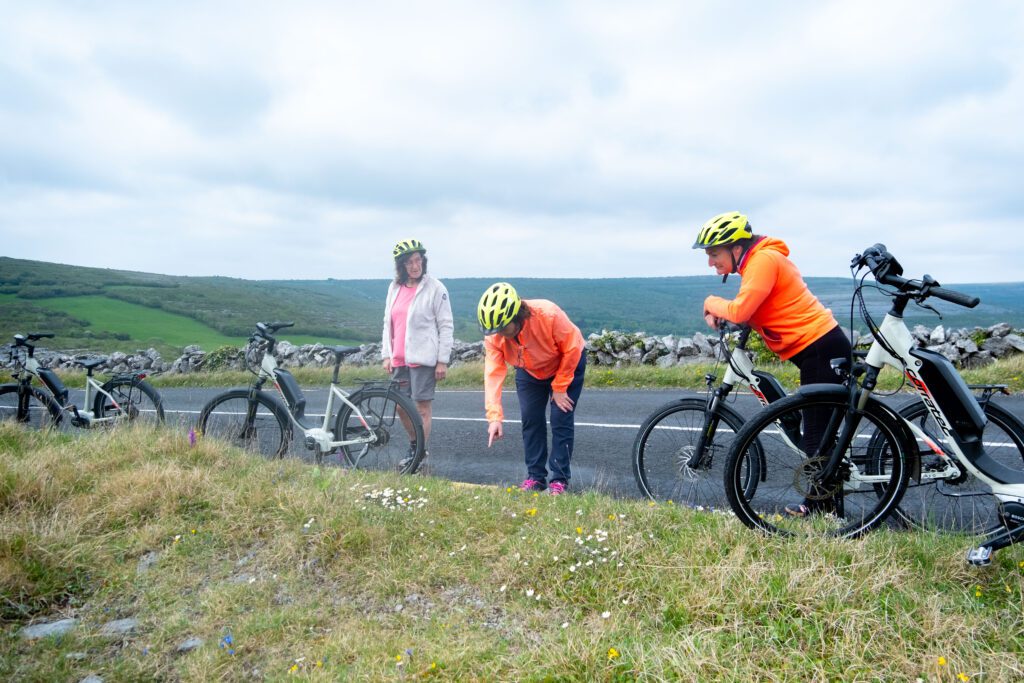 Three people wearing helmets and bright jackets stand beside bicycles on a rural roadside; one person bends down and points at some wildflowers in the grass as the others watch. Rolling hills and a stone wall are in the background.